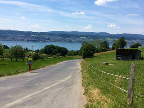 九游体育入口-“缆绳滑水：东桃花岛赛场呈现全新水上运动魅力”