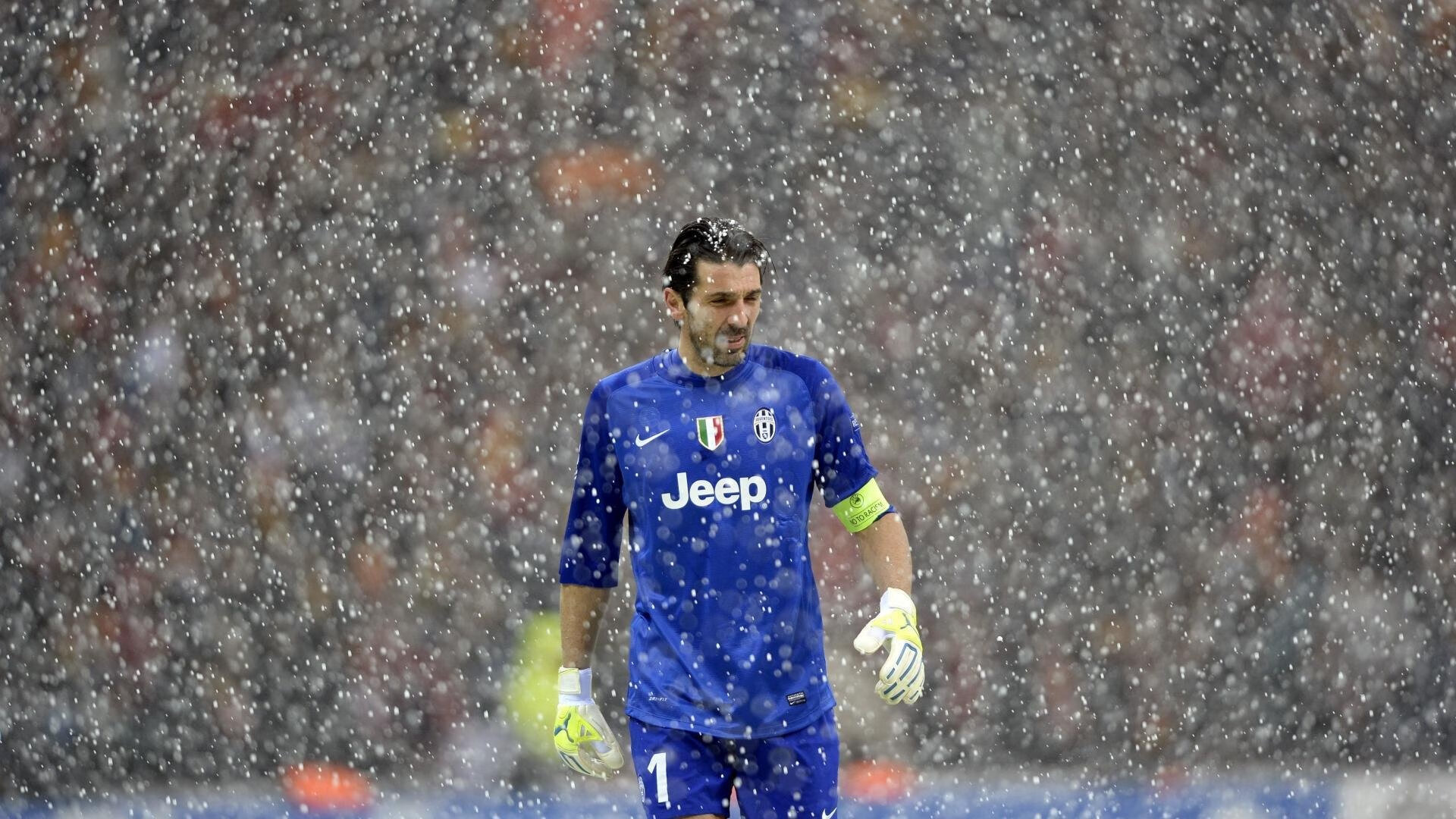 9体育-凯尔特人举行球队传统日回顾队史荣耀时刻,凯尔特人队史第5期