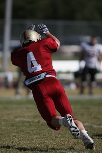 Jiuyou Sports-校园足球支持学生裁判项目拓展多元职业通路，普通高校足球专业学生裁判能力的培养